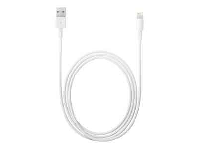 Apple Lightning to USB Cable - iPad